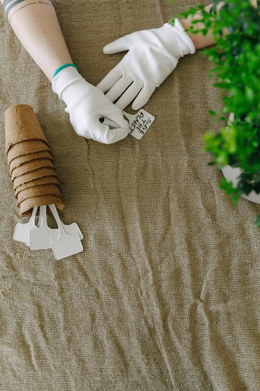 How to Start a Small Herb Garden Indoors: A Beginner’s Guide